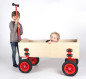 Preview: Bollerwagen mit Kindern