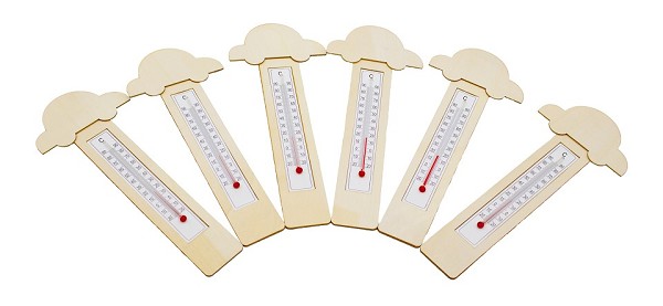 Thermometer DIY Autos 6er Set 592