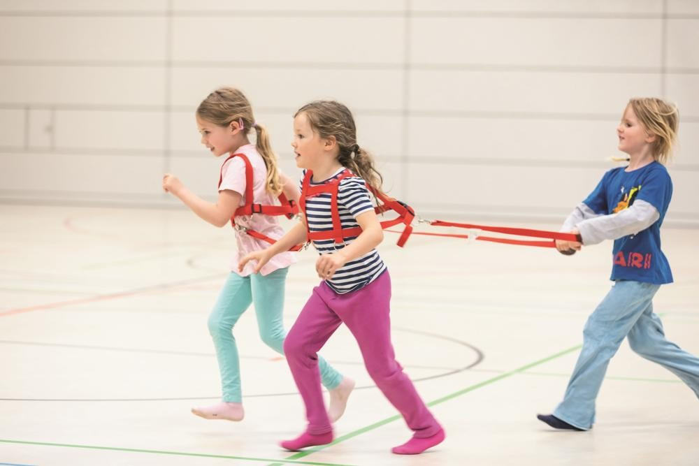 Laufleine Zweispaenner Kinder von Seite oben