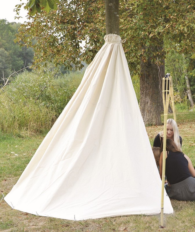 Baum-Tipi hinten links